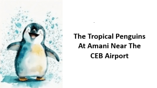 The Tropical Penguins accommodation logo in Mactan, Cebu
